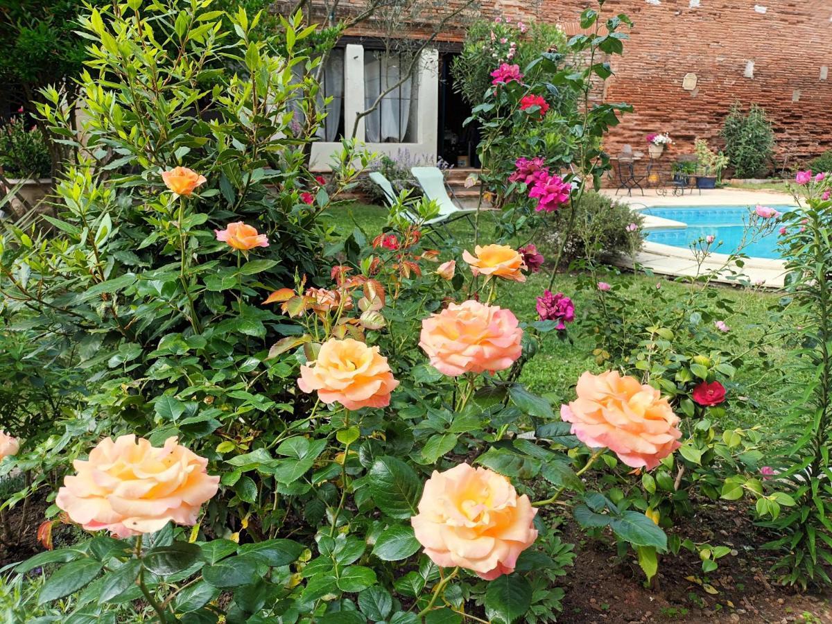 L'Arche De Moissac Bed & Breakfast Eksteriør bilde